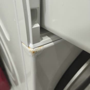 Bosch Çamaşır Makinesinde Kısa Sürede Gelişen Paslanma Sorunu