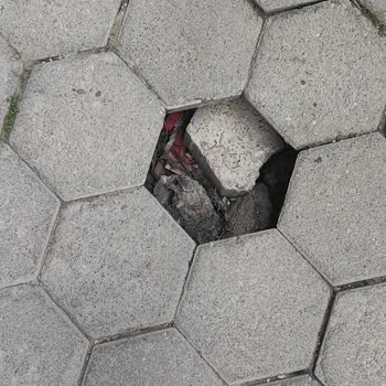 Çamlıca Mahallesi'nde Bir Yıldır Onarılmayan Tehlikeli Kaldırım Sorunu