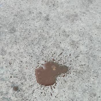 Kahve Ürününde Yabancı Madde Çıkması Ve İade Talebi