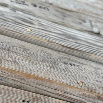 Kahve Ürününde Yabancı Madde Çıkması Ve İade Talebi