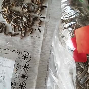 A101 Olmaz Saygı Biraz