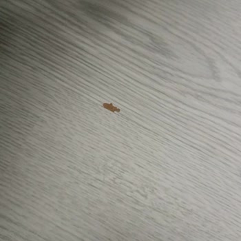 Parkelerde Kendiliğinden Kırılma Ve Atma Mağduriyeti