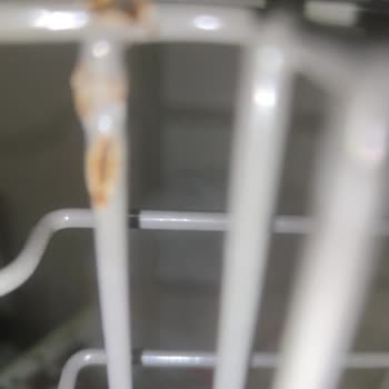 Franke Bulaşık Makinesinde Kısa Sürede Sepet Çürümesi Ve Kalıcı Çözüm Talebi