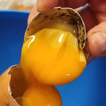 Yeşil Foça Marka Yumurtalar Tarihi Geçmemiş Olmasına Rağmen Bozuk Çıktı Sağlığımız Riske Atıldı!