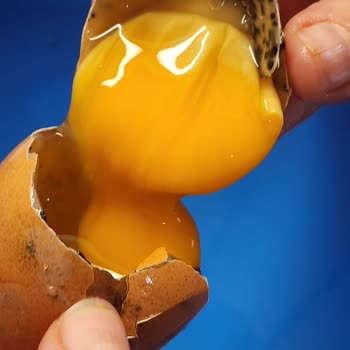 Yeşil Foça Marka Yumurtalar Tarihi Geçmemiş Olmasına Rağmen Bozuk Çıktı Sağlığımız Riske Atıldı!