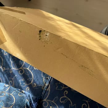 Kargomun Nerede Olduğu Hakkında Bilgi Alamıyorum, Teslimat Gecikti