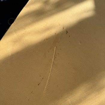 Kargomun Nerede Olduğu Hakkında Bilgi Alamıyorum, Teslimat Gecikti