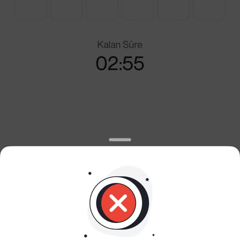Papel Uygulamasına Giriş Sorunu Ve Müşteri Hizmetlerinden Yetersiz Destek