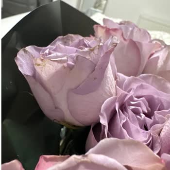 Teslim Edilen Çiçek, Görselden Çok Farklı Ve Kalitesizdi