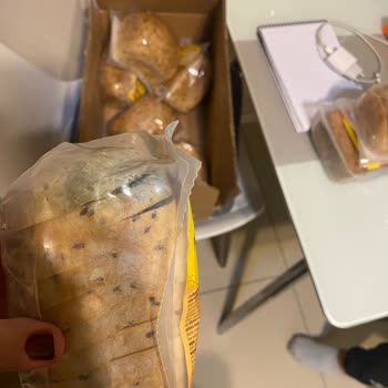 My Schär Order Delivered with Moldy Pan Multigrano Bread