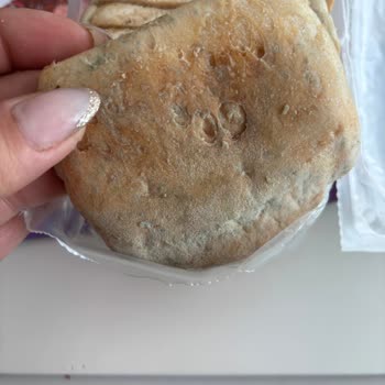 Schär Gluten-Free Bread Molds Quickly After Freezing