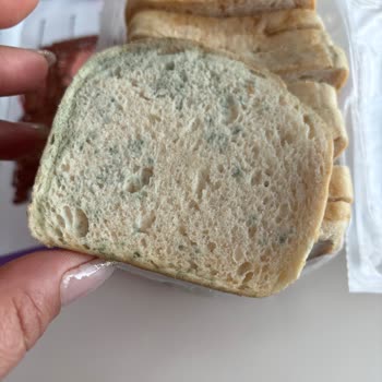 Schär Gluten-Free Bread Molds Quickly After Freezing