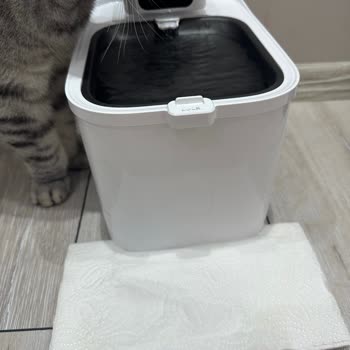 Evofone Su Sızdıran Petkit Eversweet Max İçin İade Talebim Ve Teknik Servis Sorunu