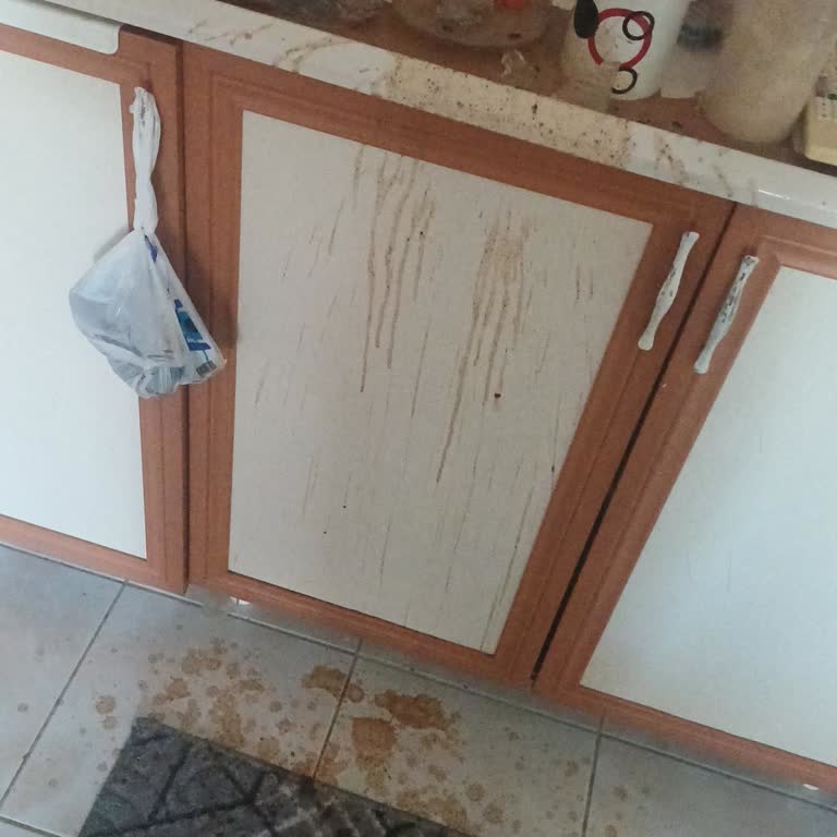 İlk Kullanımda Patlayan Fincan Güvenlik Riski Yarattı