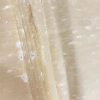 Şok Marketten Alınan Baklavalık Yufkada Küf Ve Gıda Güvenliği Sorunu