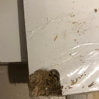 İki Kez Hasarlı Parça Gönderilmesi Ve İade Sürecinde Gecikme