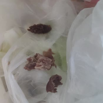 Anpa Gross Market Yıldıztepe Şubesi Şikayeti