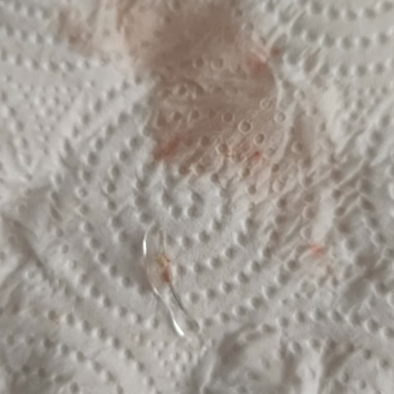 Üçel Gıda Helvadan Cam Çıktı