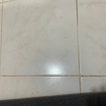 Lilyum Halı Zeytinburnu Şubeden Alınan Halıların Ücretsiz Olarak Değiştirilmesini Talep Ediyorum