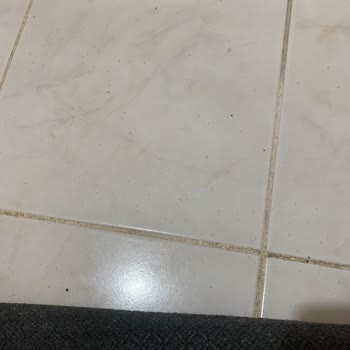 Lilyum Halı Zeytinburnu Şubeden Alınan Halıların Ücretsiz Olarak Değiştirilmesini Talep Ediyorum