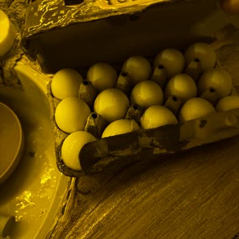 Kırık Ürünler Ve Müşteri Hizmetlerine Ulaşamama Mağduriyeti