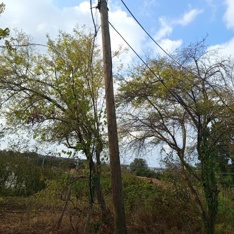 Türk Telekom Altyapı Var Ama İnternet Bağlantısı İki Aydır Sağlanmıyor