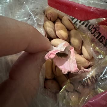 Halktan Kuruyemiş Antep Fıstığından İzmarit Çıktı