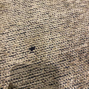 Defolu Halı İçin Geri Dönüş Yapılmıyor, Mağduriyetim Giderilmiyor