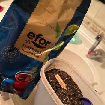 Çay Paketinden Tahta Parçası Çıkması Hayal Kırıklığı Yarattı