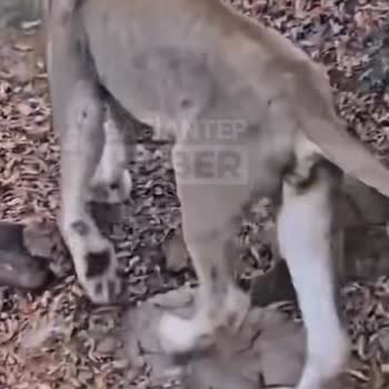 Gaziantep Hayvanat Bahçesi Bakımsız