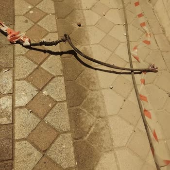 Uzun Süredir Devam Eden İnternet Kesintisi Ve İlgisiz Müşteri Hizmetleri