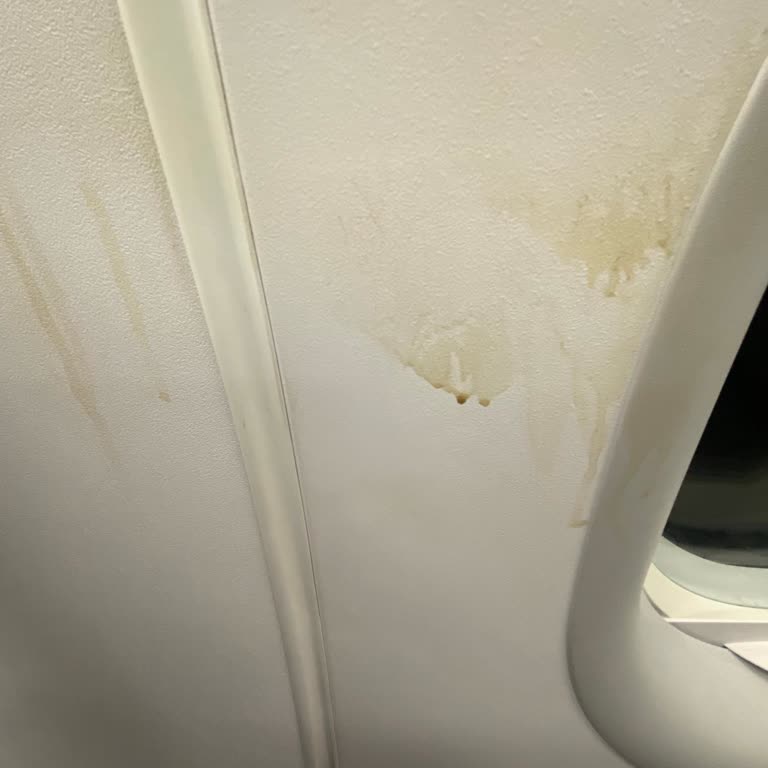 Uçuşta Cam Kenarı Koltuğun Hijyen Sorunu Ve Rahatsızlık