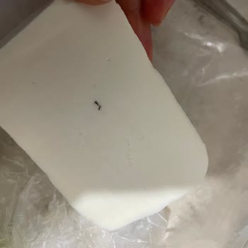 Köy Peynirinde Böcek Çıkması: Sağlık Ve Hijyen Endişesi