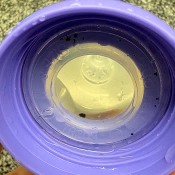 Lansinoh Naturalwave Biberonlarda Küf Ve Siyah Leke Sorunu