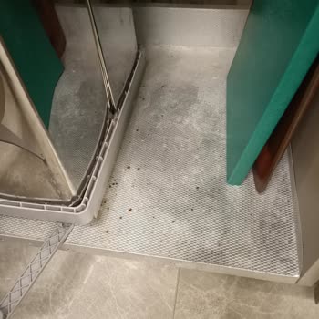 Sinpaş Kızılbük Thermal'de Hijyen, Gürültü Ve Otopark Sorunları Tatilimi Mahvetti