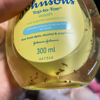 Johnsons Baby Aldığım Şampuanın İçinde Böcek Çıktı