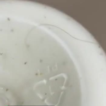 Calve Ranch Sosun İçinden Kıl Çıktı