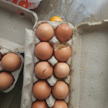 Kırık Yumurtalar Nedeniyle Hem Ürün Hem Temizlik Mağduriyeti