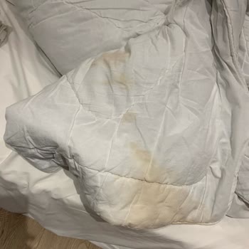 Mahya Hotel Hijyen Sorunu