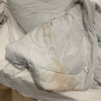 Mahya Hotel Hijyen Sorunu