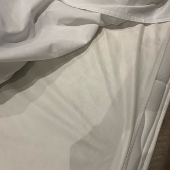 Mahya Hotel Hijyen Sorunu