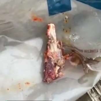 Köfteci Yusuf Tost Ve Tostun İçindeki Pastırma
