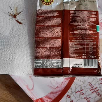 Kahve Paketinden Böcek Çıkması Nedeniyle Güvensizlik Ve İade Talebi