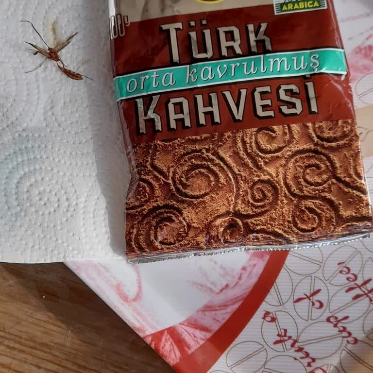 Kahve Paketinden Böcek Çıkması Nedeniyle Güvensizlik Ve İade Talebi
