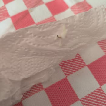 Karper Üçgen Peynirde Böcek Bacağı Ve Yetersiz Firma Yaklaşımı