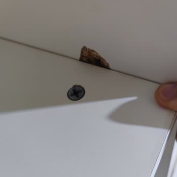 Aras Home | Isparta Hasarlar ve Eksikler Giderilmiyor