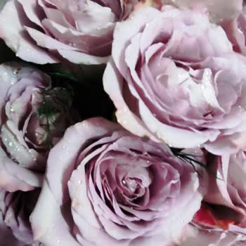 Eksik, Özellikle Hazırlanmamış Ve Yanlış Ürünle Hayal Kırıklığı