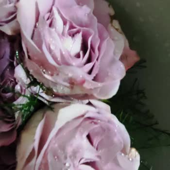 Eksik, Özellikle Hazırlanmamış Ve Yanlış Ürünle Hayal Kırıklığı