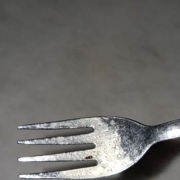 Noodle Ürününden Çıkan Sinek Nedeniyle Gıda Güvenliği Endişesi