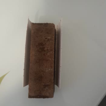 Ülker Tiramisu Ürününde Bozulma Şüphesi Ve Renk Değişikliği